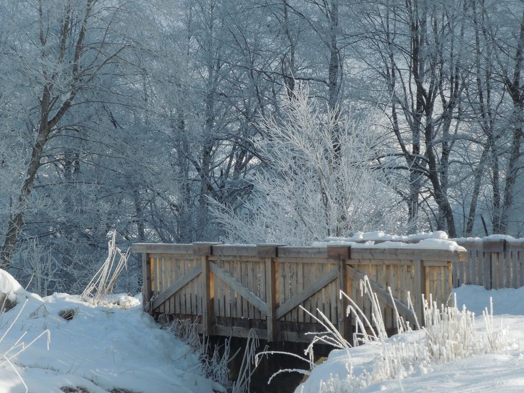 Haus Bergkranz Bed and Breakfast Lermoos Εξωτερικό φωτογραφία